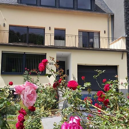 Ferienwohnung "Zum Klosterruinenblick" Kröv エクステリア 写真