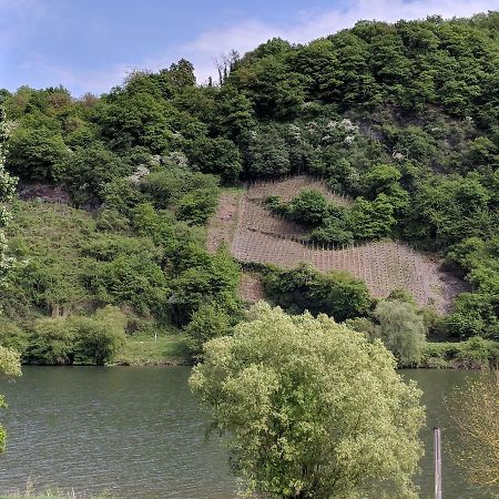 Ferienwohnung "Zum Klosterruinenblick" Kröv エクステリア 写真