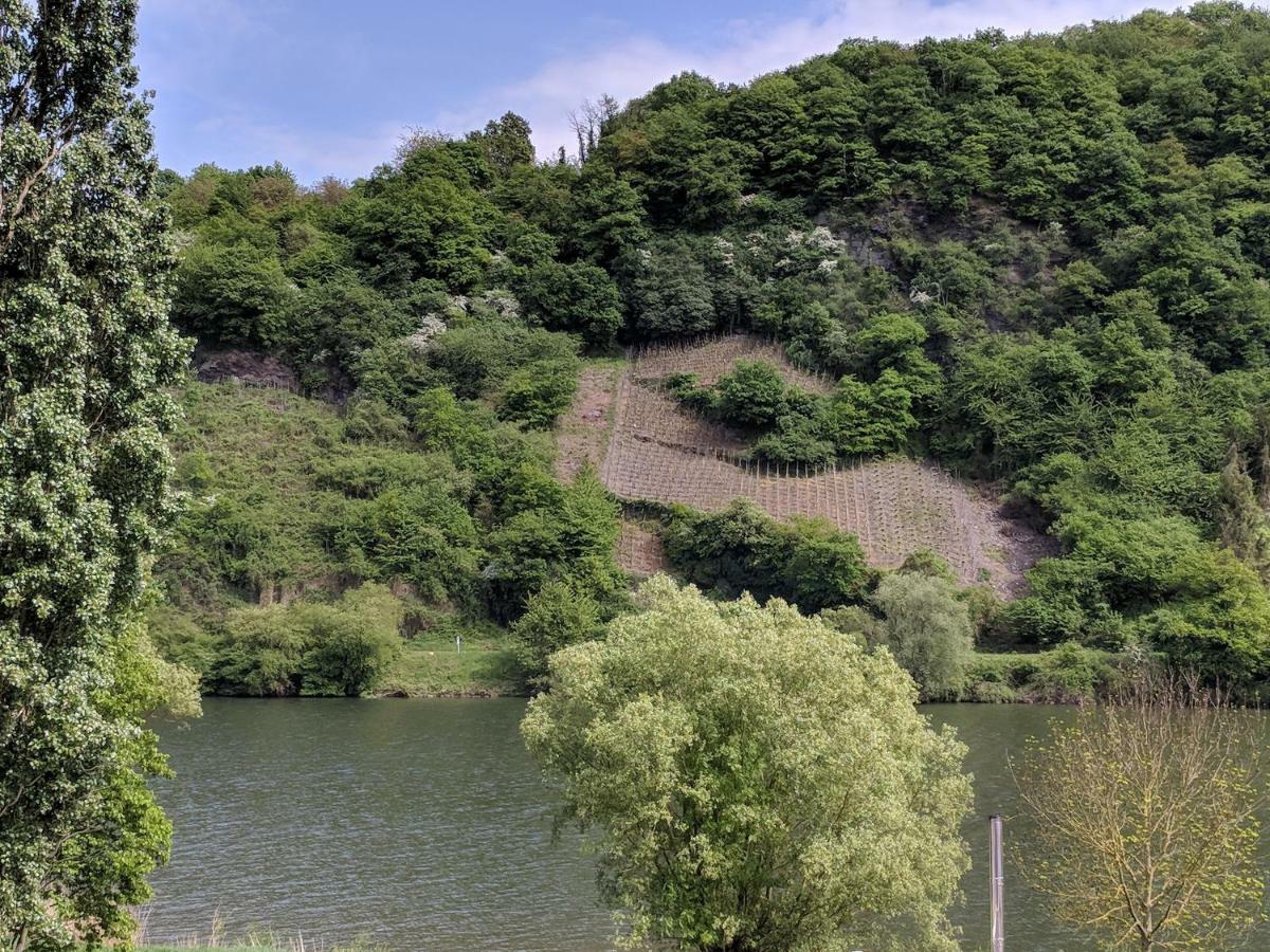Ferienwohnung "Zum Klosterruinenblick" Kröv エクステリア 写真